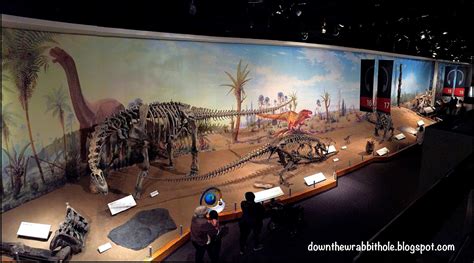 Down the Wrabbit Hole - The Travel Bucket List: The Royal Tyrrell Museum of Palaeontology ...