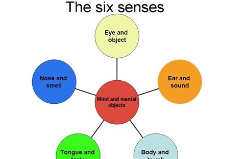 Wisdom through Mindfulness: Our six senses are responsible for our own existence