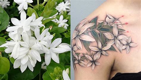 Jasmine Flower Vine Tattoo
