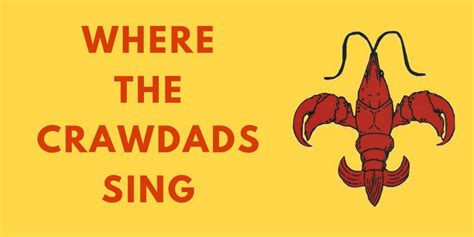 10 Best Where The Crawdads Sing Quotes Images from the Book