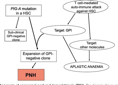 Figure 1 from Recent advances in the pathogenesis and treatment of paroxysmal nocturnal ...