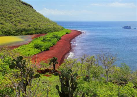 Giveaway: Enter to Win a Bucket-List-Worthy Galapagos | ShermansTravel