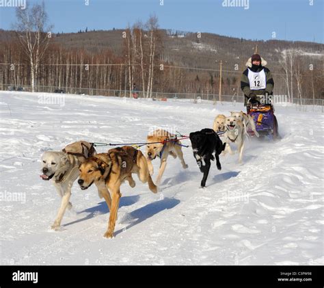 Limited North American Championship Sled Dog Races. Six Sled Dog ...