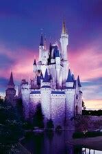 Orlando Florida Hotels Near Disney® | Residence Inn Orlando