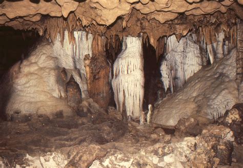 Florida Caverns State Park