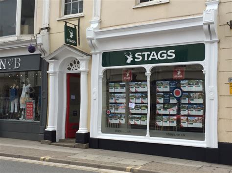 Stags Estate agents - South West Commercial Office Redecoration - Actionline Decorating