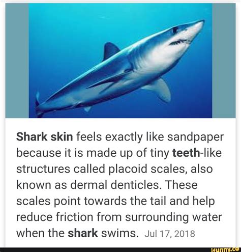 Shark skin feels exactly like sandpaper because it is made up of tiny teeth-like structures ...