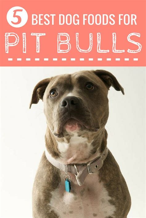 The Best Dog Food For Pit Bulls: 13 Great Foods for Pitties! | Pitbulls ...