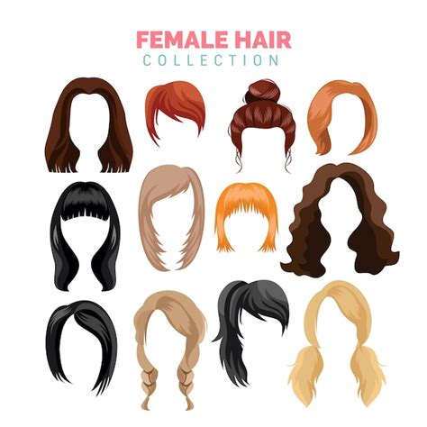 Female hair vector collection | Premium Vector