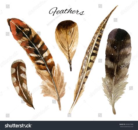 Watercolor Feather Set Hand Drawn Illustration Stock Illustration 303027908 | Shutterstock