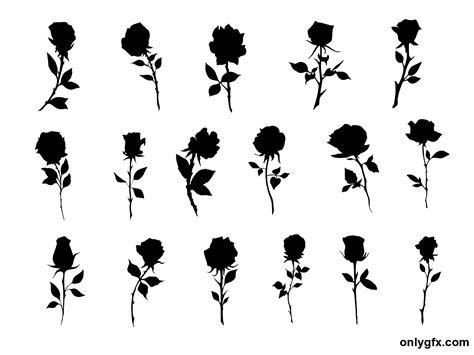 17 Rose Silhouette (PNG Transparent) | OnlyGFX.com