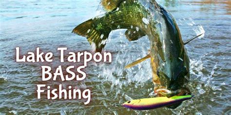 Get The Most Out Of Lake tarpon bass fishing From Kayak | PyeNye