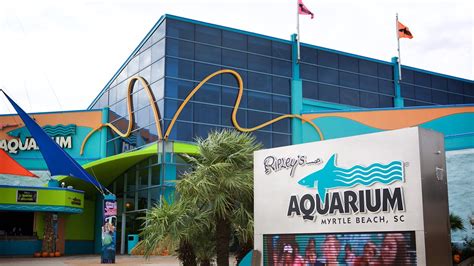 Ripley's Aquarium in Myrtle Beach, South Carolina | Expedia