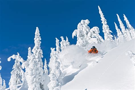 Whitefish Mountain Resort, Mont. - SKI Magazine Resort Guide Review