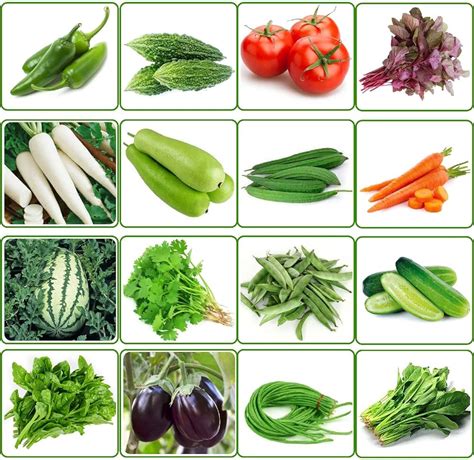 "Stunning 4K Collection of Over 999 Vegetable Images"