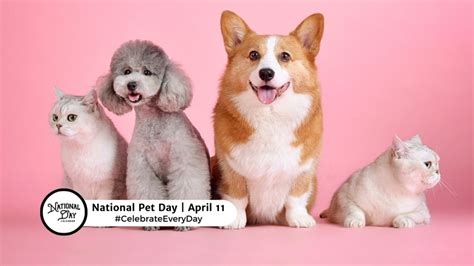 APRIL 11, 2024 | NATIONAL PET DAY | NATIONAL EIGHT TRACK TAPE DAY | NATIONAL LIVING DONOR DAY ...