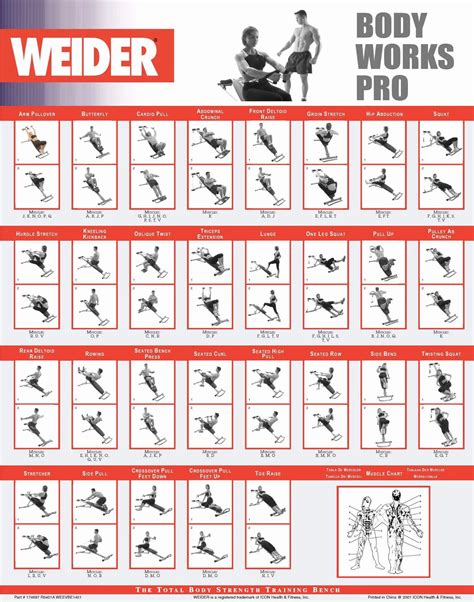 Printable Weider Ultimate Body Works Exercises – PDF Download & Full ...