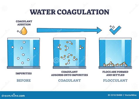 Water Coagulation Process Explanation for Liquid Treatment Outline Diagram Stock Vector ...