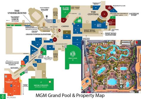 MGM Grand Pool Complex: 23 Things You Should Know (Las Vegas) - FeelingVegas