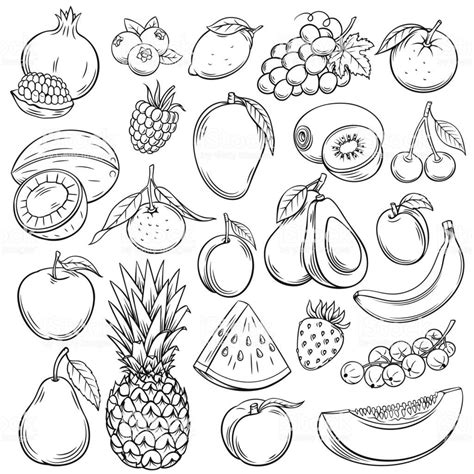 Fruit Sketch Drawing | Sketch Drawing Idea