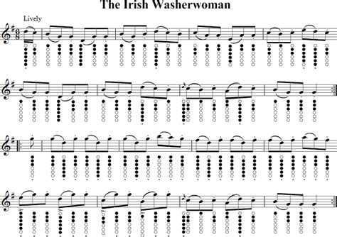 The Irish Washerwoman | Tin Whistle Music