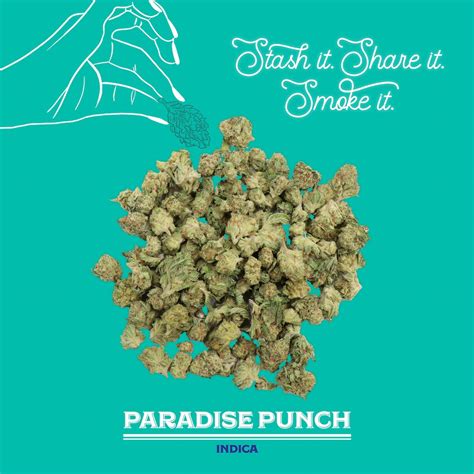 Paradise Punch | 28G | Mixed Light Smalls - West Coast Trading Company