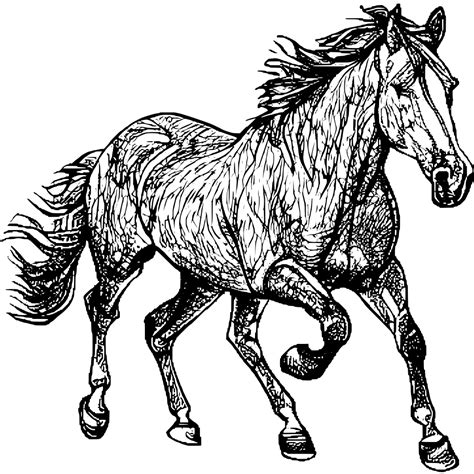 Running Horse Coloring Page · Creative Fabrica