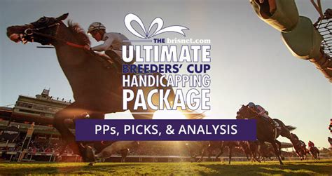 Breeders' Cup Pre-Entries: Official Breeders' Cup Horses - Brisnet