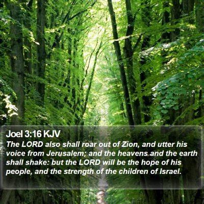 Joel 3 Scripture Images - Joel Chapter 3 KJV Bible Verse Pictures