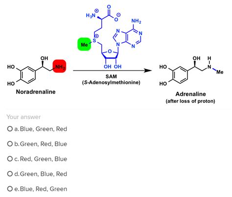 Solved Adrenaline is synthesized when a compound called | Chegg.com