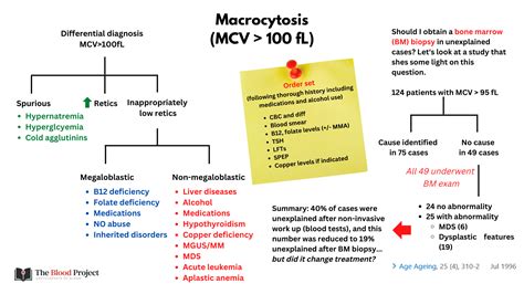 Macrocytosis • The Blood Project