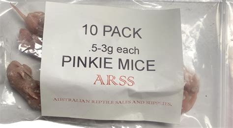 10 PACK PINKIE MICE-PICKUP ONLY – Australian Reptile Sales and Supplies