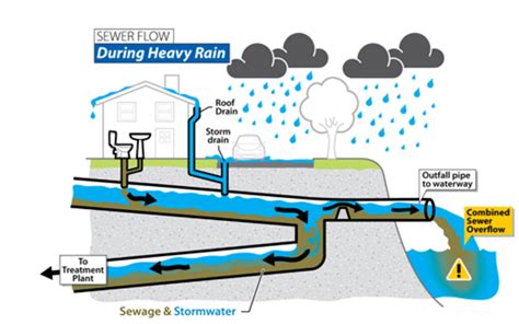 A plague of combined sewers | REB Research Blog