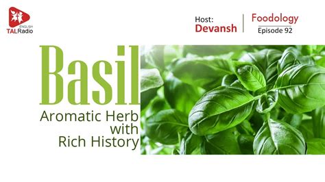 BASIL - Aromatic Herb with Rich History | Foodology - 92 | Devansh ...