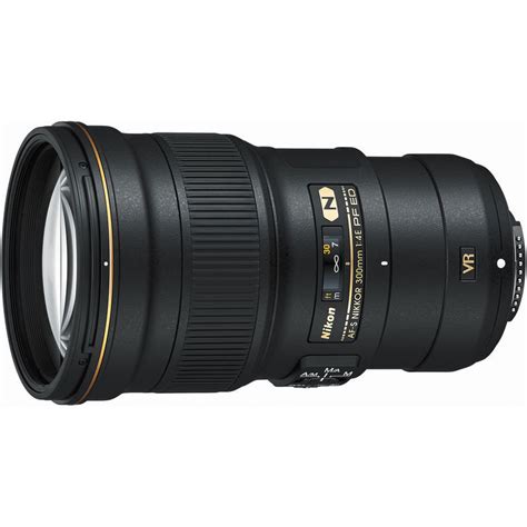 Hands-on Review: Nikon 300mm f/4E PF AFS VR Nikkor | Jason P. Odell Photography