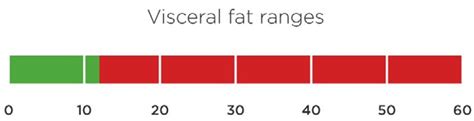 Is visceral fat harmful? Understand the measurement | Bowtie