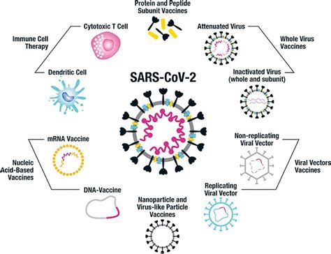 What is the Difference Between Self and Non Self Antigens | Compare the ...