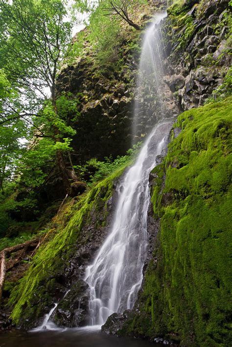 Cabin Creek Falls, Oregon, United States - World Waterfall Database