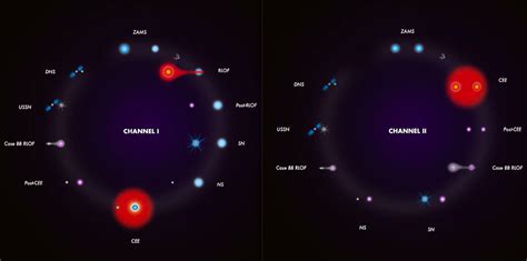 Modelling the evolution of double neutron stars | Spaceaustralia