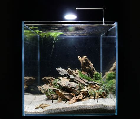 Dragon Stone (Ohko)20lb Pack | Aquascape, Aquarium fish tank, Stone plant