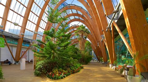 Serre Sheffield Winter Garden : Centre-ville de Sheffield - Visites ...