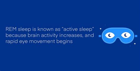 Four Stages of Sleep - Amerisleep