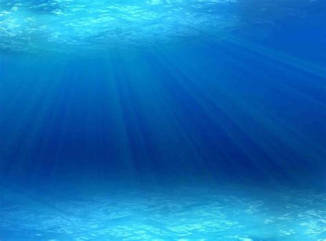 Under the Sea PowerPoint Background, Under Ocean HD wallpaper | Pxfuel