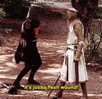 Monty Python Black Knight Gif