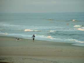 A Surfing Escape in Sandbridge Beach, Virginia - My Family Travels