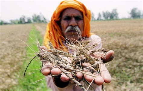 Farmer suicides is no fashion trend, Mr Gopal Shetty