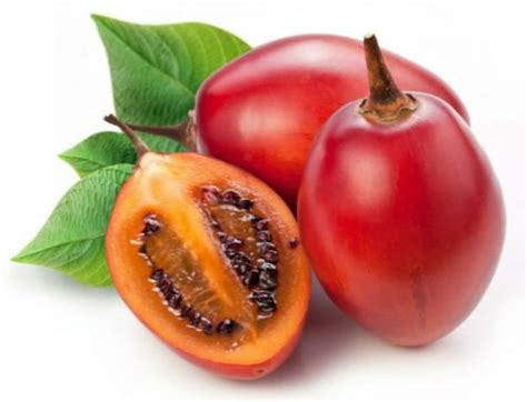 100 Red Tamarillo Seeds solanum Becateum Cyphomandra Becatea Tree Tomato - Etsy