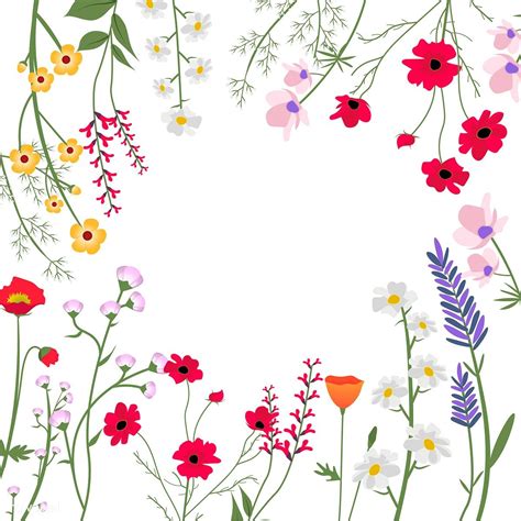 Wild Flowers Vector Illustration | free image by rawpixel.com ...