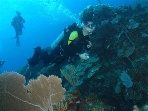 Scuba Diving in Belize | Infolific