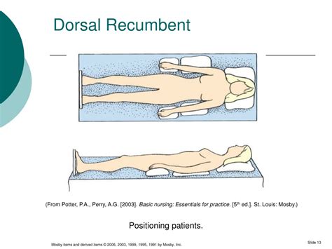 PPT - CHAPTER 15 Body Mechanics and Patient Mobility PowerPoint Presentation - ID:9299746